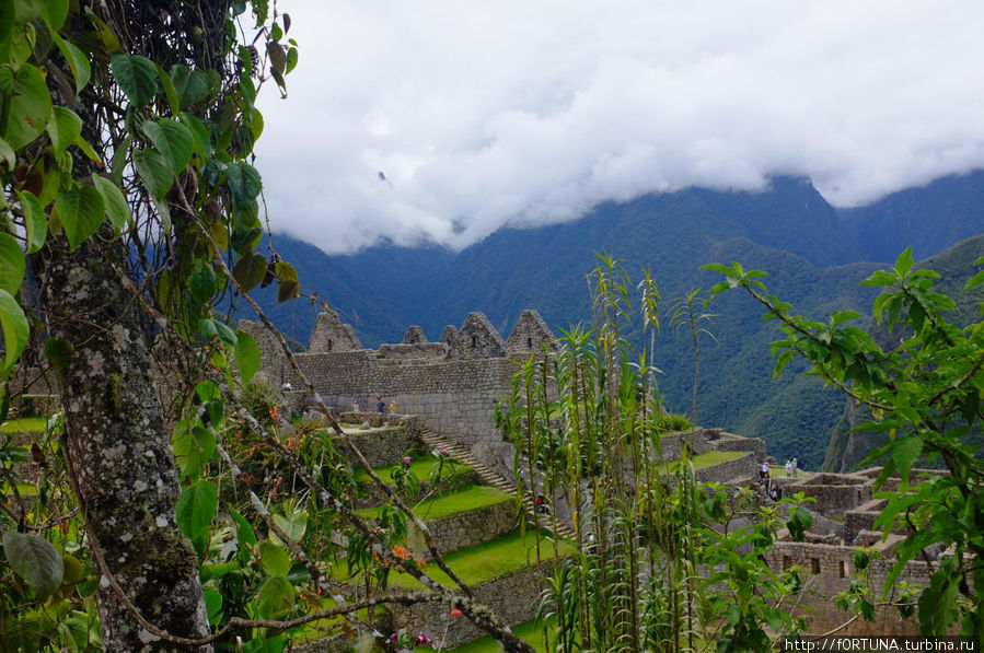Священная резиденция инков Мачу-Пикчу, Перу