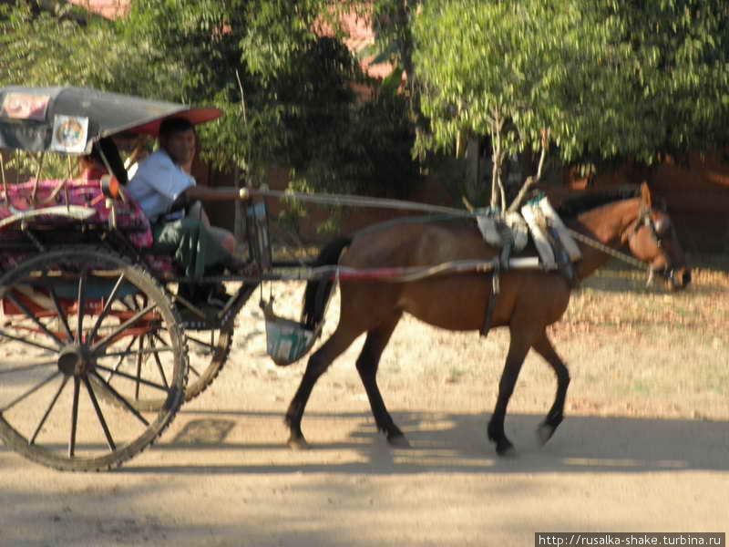 Прогулка на лошади Баган, Мьянма