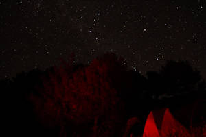 Наши палатки на фоне звездного неба
