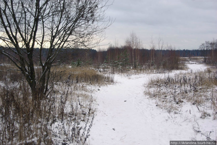 Первый снег, первая лыжня... Зеленоград, Россия