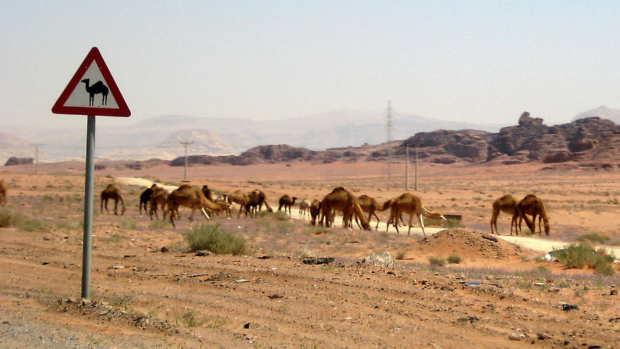 Дорожные знаки не врут! Пустыня Вади Рам, Иордания