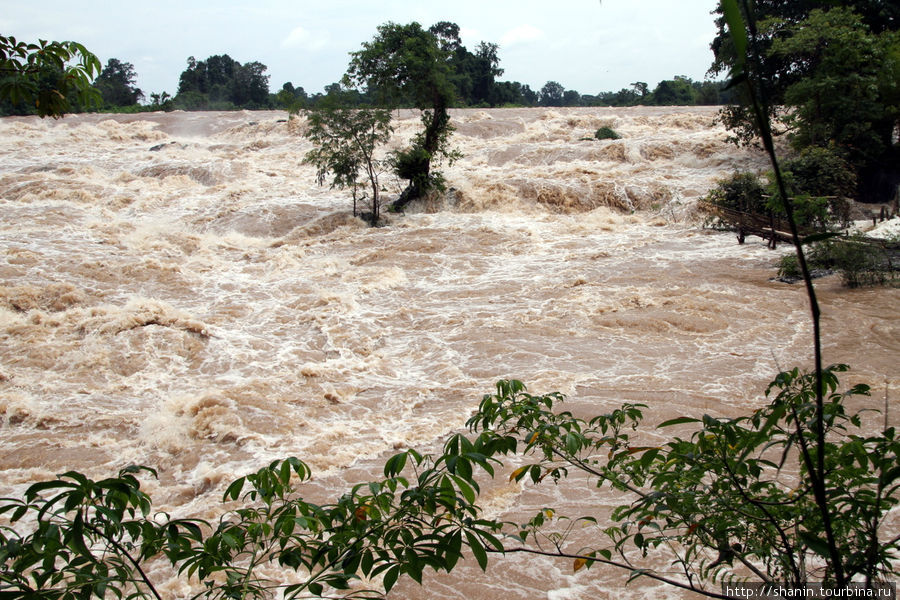 Водопады на Меконге из-за обилия воды в реке практически и не видны Лаос