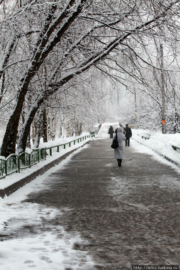 Снегопад в Северном Чертаново (моя Москва) Москва, Россия