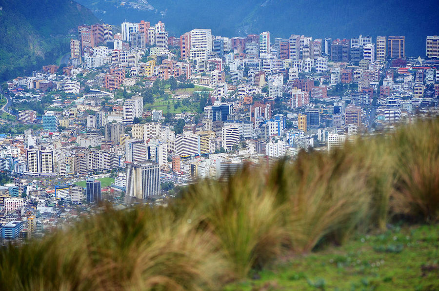 И можно бесконечно долго смотреть на линию, где соприкасаются бескрайний стекло-бетонный город и золотая играющая на солнце трава… Кито, Эквадор