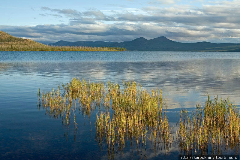 Этот залив, в северной части озера, был одной из основных точек съёмки. Саха (Якутия), Россия