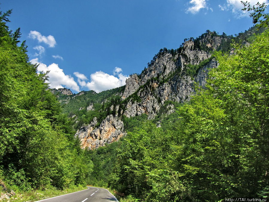 Дорога по каньону Тары Жабляк, Черногория