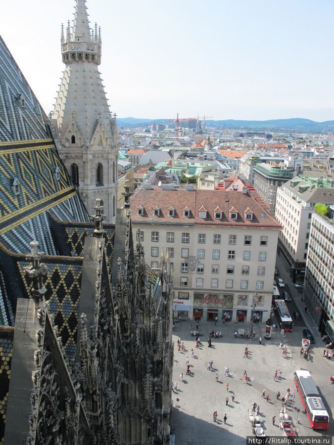 Вид с колоннады соборы св Стефана. Вена, Австрия
