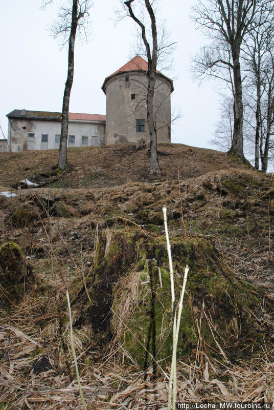 Замок в Алсунге Вентспилс, Латвия