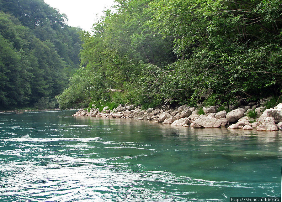 Грандиозный каньон реки Тара. Виды с воды Область Плевля, Черногория