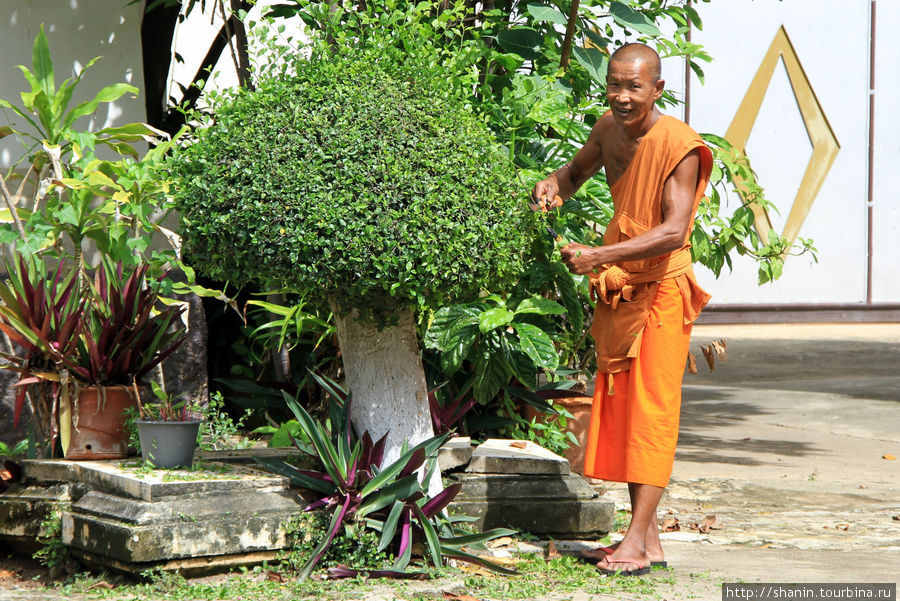 Монах за работой по благоустройству территории монастыря, Ват Ко Лак в Прачуап Кхири Кхан Прачуап-Кхири-Кхан, Таиланд