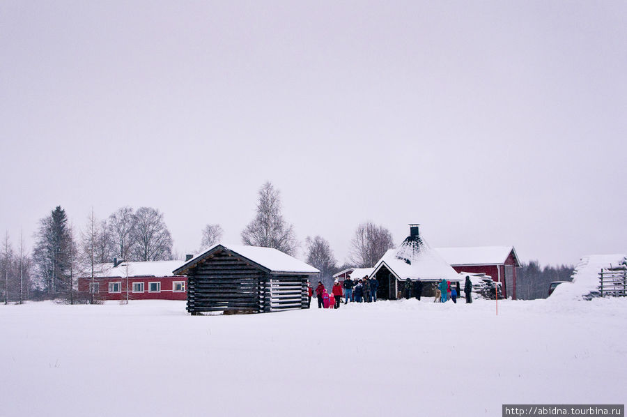 Поездка на оленью ферму Нурмес, Финляндия