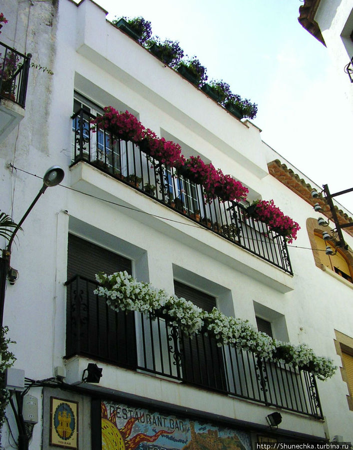 Праздник каждый день или флористика по-испански Испания