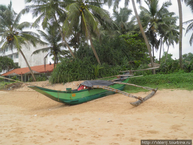 Sri Lanka (7) Ловля рыбы, или кто не успел, тот опоздал! Бентота, Шри-Ланка
