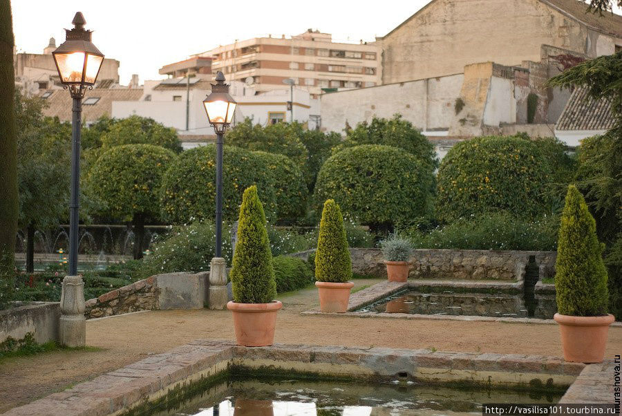 Романтика садов Алькасара в Кордове и ночной город