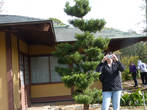 Небольшой  японский домик в парке почему-то был закрыт.
