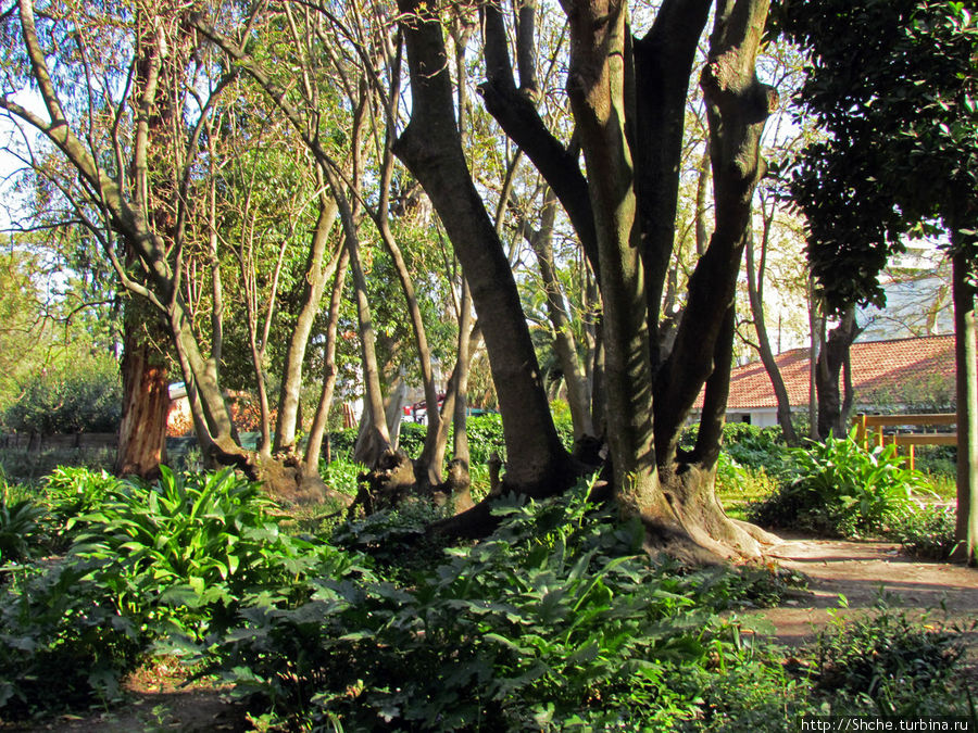 Сад Campo Grande — здесь не ступает нога туриста Лиссабон, Португалия