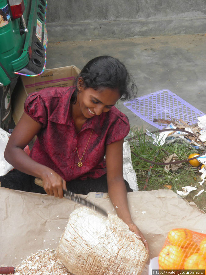 И, снова, на рынке Бентота, Шри-Ланка
