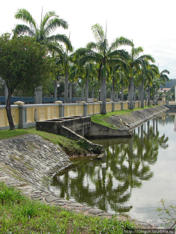 Пальмы Кота-Кинабалу, Малайзия