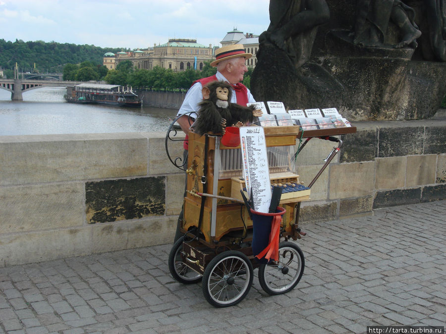Старый шарманщик на Карловом мосту Прага, Чехия
