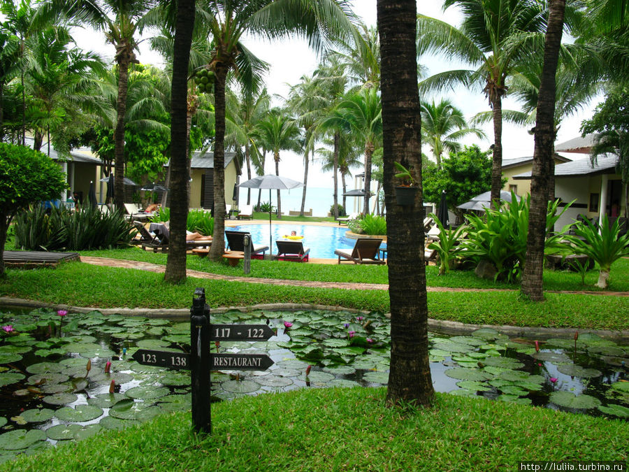 Сад в отеле Остров Самуи, Таиланд