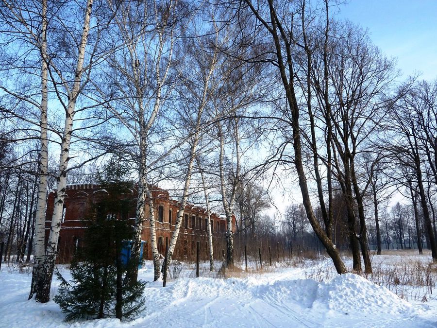 Петропавловский парк Ярославль, Россия