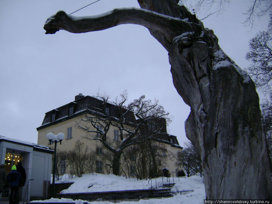 Парк музея принца Евгения морозным днём Стокгольм, Швеция