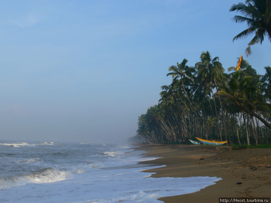 Остров на который хочется вернуться Шри-Ланка