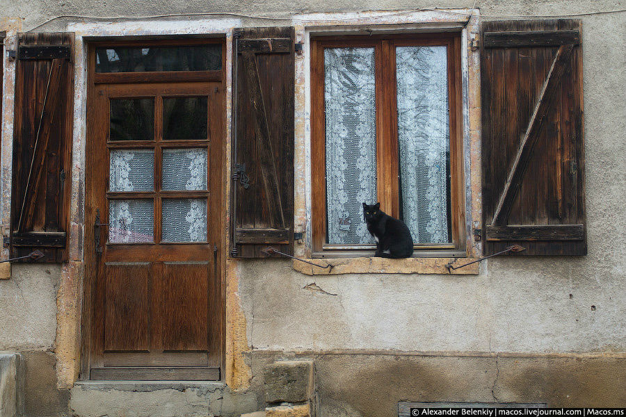 Встретил черную кошку, которая ждет белого кота. Земли Луары, Франция