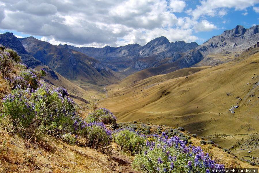 Треккинг в Перу. Cordillera Huayhuash. Продолжение Перу