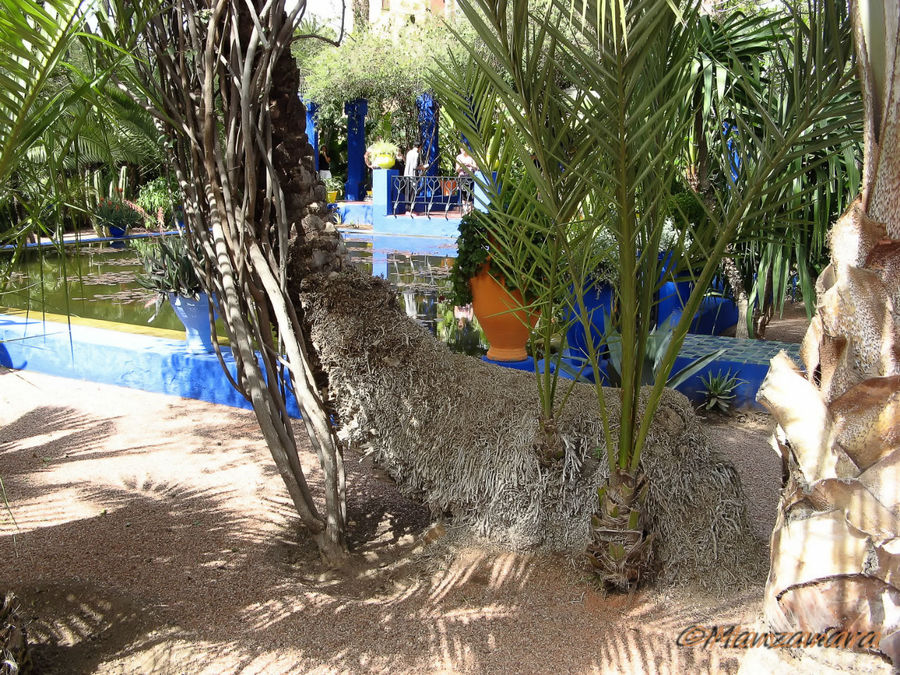 Марокко. День 6: Марракеш. Сад Мажорель Марракеш, Марокко