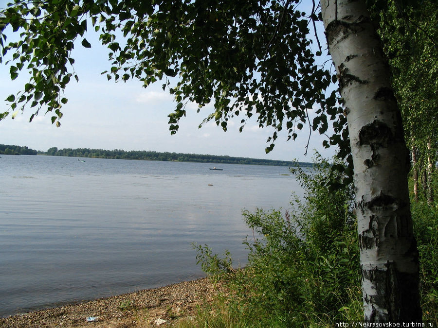 Река Волга в районе Бабаек Некрасовское, Россия
