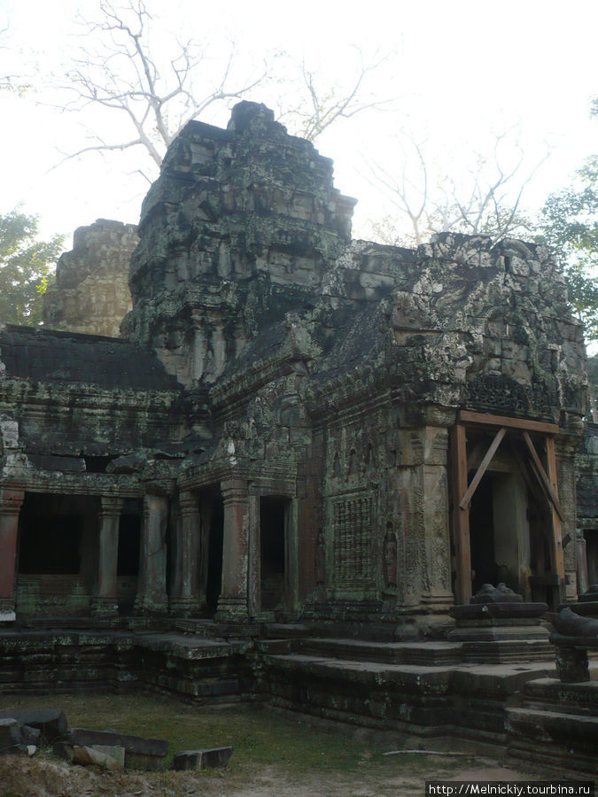 В прохладной тени Храма Та Прум Ангкор (столица государства кхмеров), Камбоджа