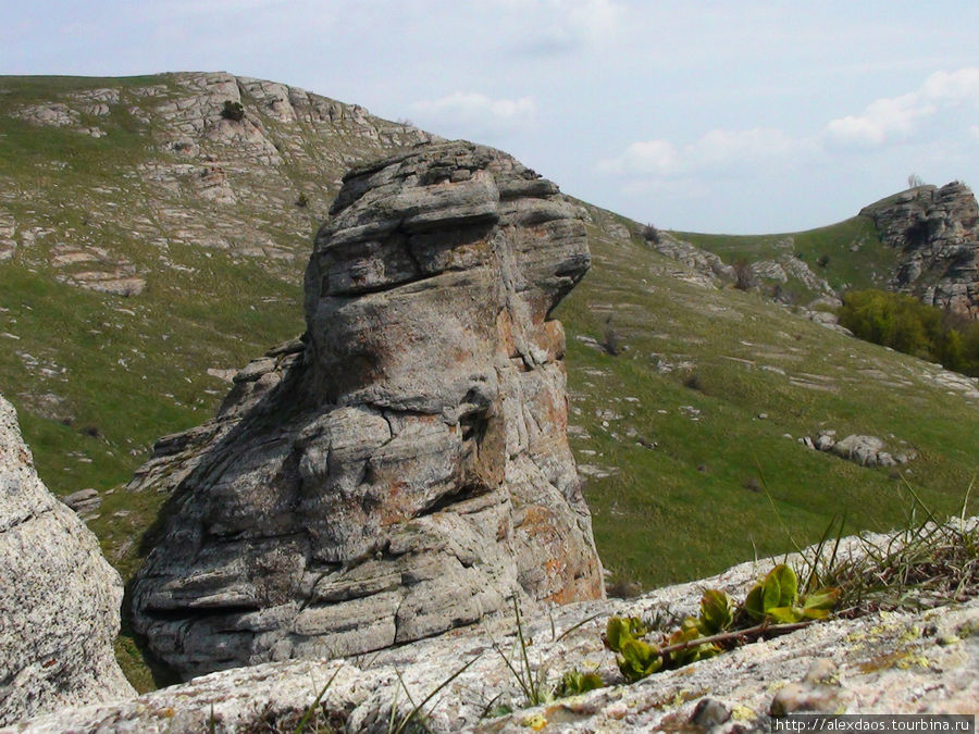 Семинар по Цигун в Крыму 2009г. Республика Крым, Россия