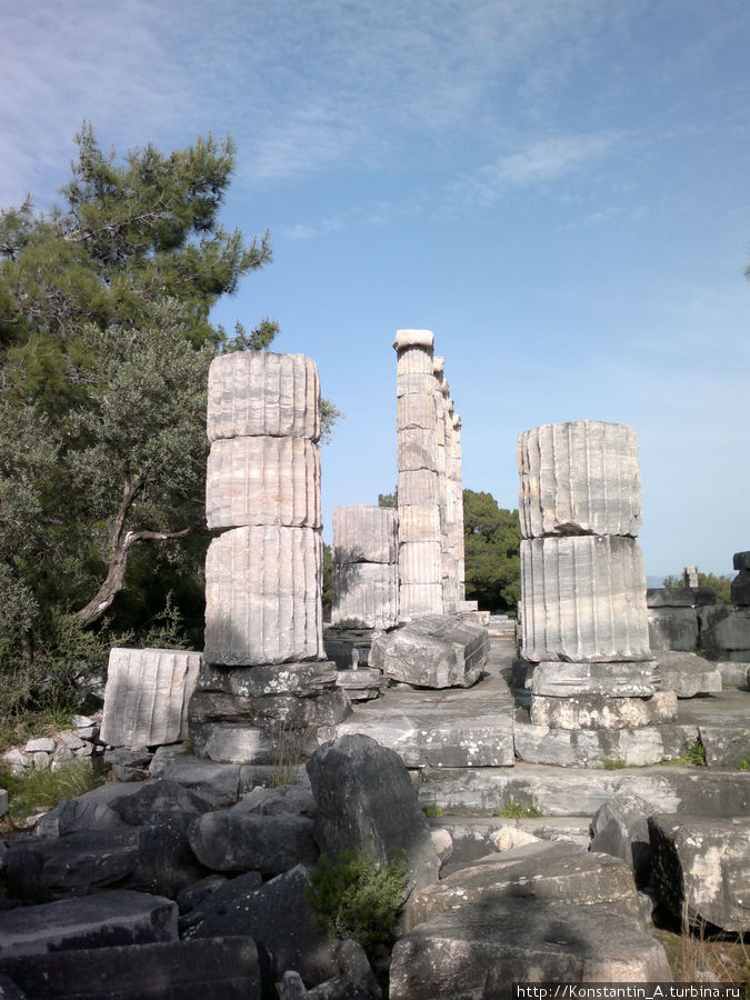 у храма Афины2 Кушадасы, Турция