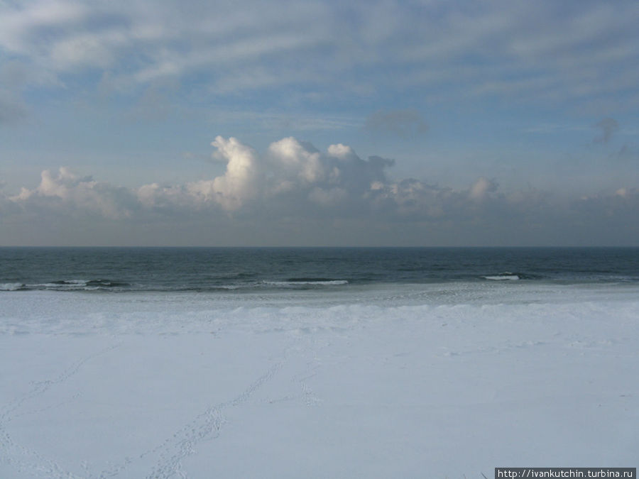 Прибрежный лед состоит из множества маленьких льдинок Куршская Коса Национальный Парк, Россия