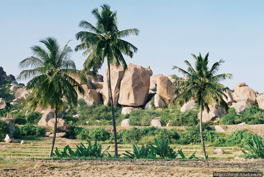 Дорога, а на обочине 3 пальмы сестры и опять глыбы на фоне Хампи, Индия