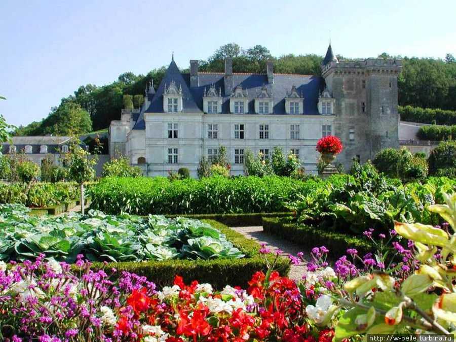 Геометрия цветной капусты Вилландри, Франция