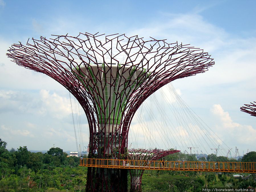 Чудо деревья в Сингапурском Саду Сингапур (город-государство)