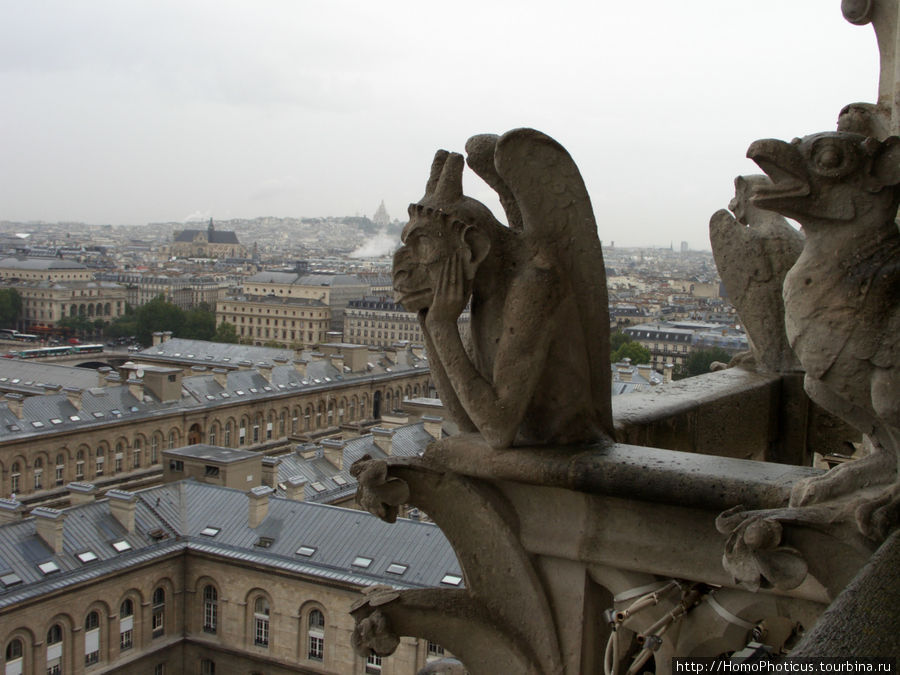 С собора Парижской Богоматери Париж, Франция