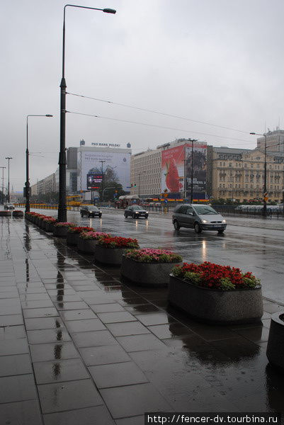 Зато цветы в клумбах поливать не надо) Варшава, Польша