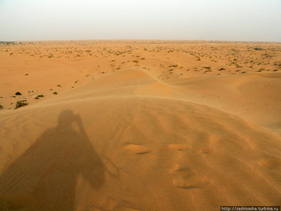 Сафари тур на джипах с ночным представлением в пустыне Дубай, ОАЭ