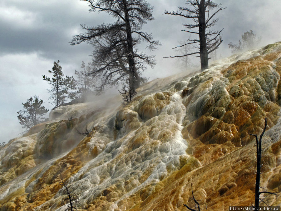 Террасы Мамонтовых горячих источников (Mammoth Hot Spring) Йеллоустоун Национальный Парк, CША