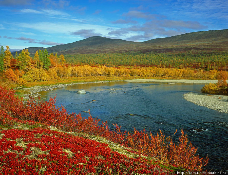 Осень на Большой Пайпудыне. Ямало-Ненецкий автономный округ, Россия
