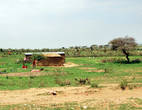 Вполне приличный домик по масайским меркам
