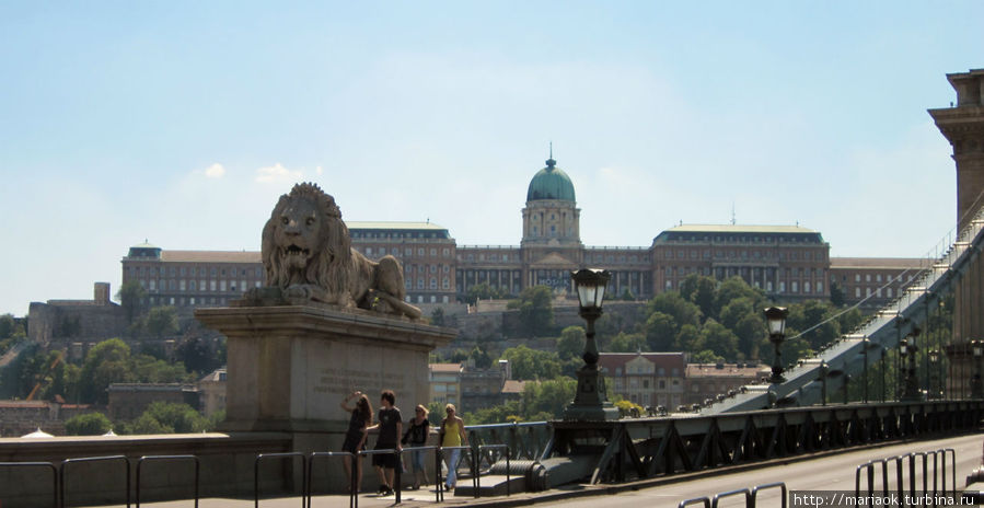 Вид на Королевский дворец с Цепного моста Будапешт, Венгрия