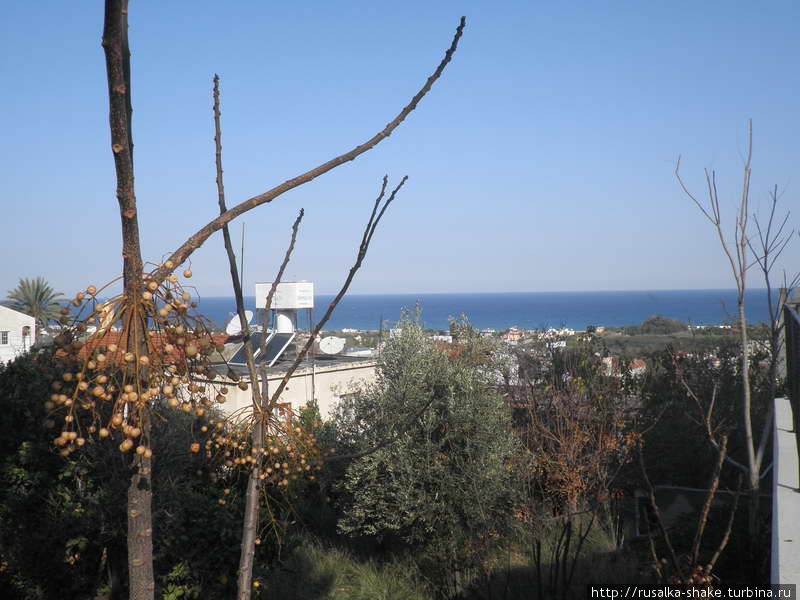 Лапта, небольшой и уютный городок, где я жила Лапитос, Турецкая Республика Северного Кипра