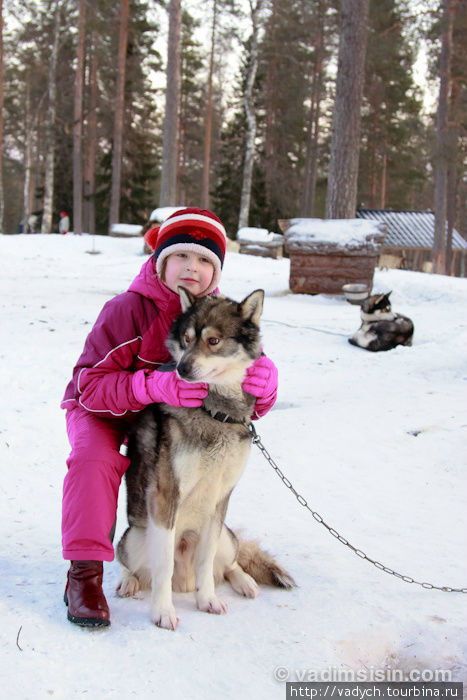 Собачья ферма Рованиеми, Финляндия