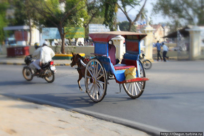 До сих пор в Майсуре ездят на лошадях, хоть и есть другой современный транспорт Майсур, Индия