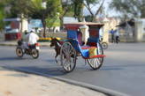 До сих пор в Майсуре ездят на лошадях, хоть и есть другой современный транспорт