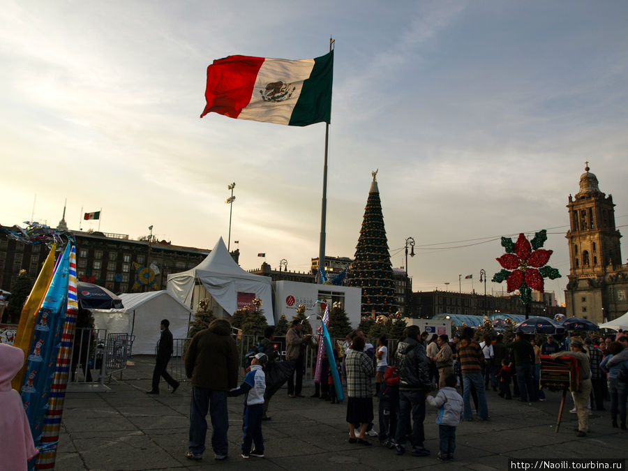 Poждественская елка в Мехико Мехико, Мексика